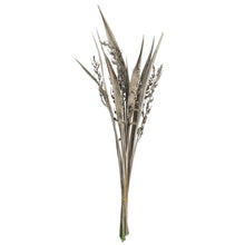 Load image into Gallery viewer, White Wash Bahia Spears Bush (Set of 18) #9459
