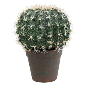 17.5" H x 15" W x 15" D Ball Cactus Succulent Plant in Pot