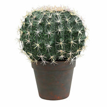 Load image into Gallery viewer, 17.5&quot; H x 15&quot; W x 15&quot; D Ball Cactus Succulent Plant in Pot
