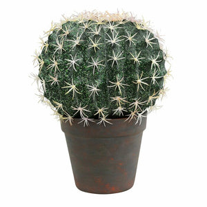 17.5" H x 15" W x 15" D Ball Cactus Succulent Plant in Pot