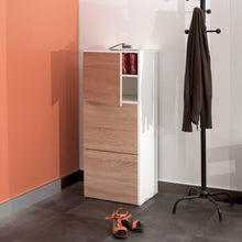 Load image into Gallery viewer, Bamboo 12 Pairs Shoe Storage Cabinet
