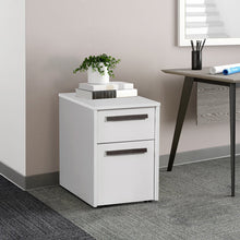 Load image into Gallery viewer, Baroda 16&#39;&#39; Wide 2 -Drawer Mobile Vertical Filing Cabinet
