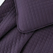Load image into Gallery viewer, Barron Microfiber Reversible Quilt Set twin - 2pc quilt set
