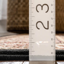 Load image into Gallery viewer, Belliere Oriental Area Rug in Black 2&#39;3&quot; x 3&#39;11&quot;
