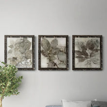 Load image into Gallery viewer, 20&quot; H x 51&quot; W x 0.75&quot; D Birch Leaves I - 3 Piece Picture Frame Painting Set on Canvas
