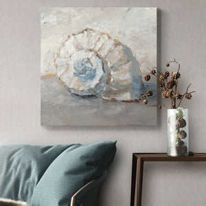 32" H x 32" W x 1" D Blue Shell Study III - Wrapped Canvas Print