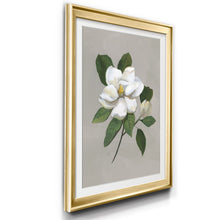 Load image into Gallery viewer, 18.5&quot; H x 24.5&quot; W x 1.5&quot; D Botanical Magnolia - Picture Frame Painting
