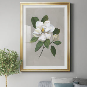 18.5" H x 24.5" W x 1.5" D Botanical Magnolia - Picture Frame Painting