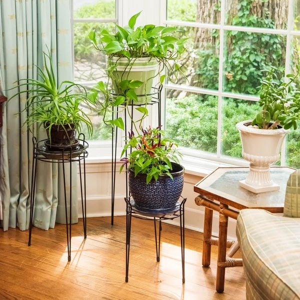 Bowersox Decorative Classic Plant Stand 21