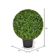 Load image into Gallery viewer, 24&quot; H x 24&quot; W x 24&quot; D Boxwood Topiary in Planter
