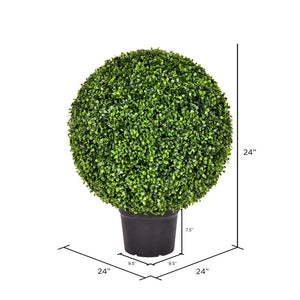 24" H x 24" W x 24" D Boxwood Topiary in Planter