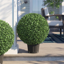Load image into Gallery viewer, 24&quot; H x 24&quot; W x 24&quot; D Boxwood Topiary in Planter
