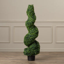 Load image into Gallery viewer, Boxwood Topiary in Pot MRM1580
