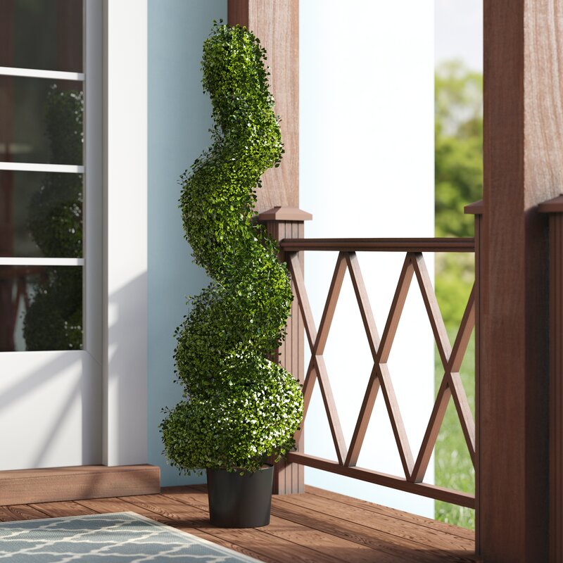 Boxwood Topiary in Pot MRM1580