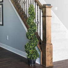 Load image into Gallery viewer, Boxwood Topiary in Pot MRM2392
