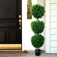 Load image into Gallery viewer, Brooklyn Floor Boxwood Topiary in Pot 7556
