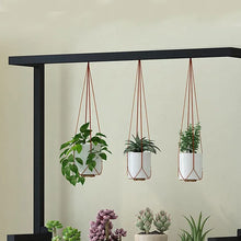 Load image into Gallery viewer, Buerkle Rectangular Plant Stand
