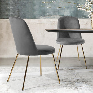 Grey Burleigh Velvet Side Chair (Set of 2) 2949AH