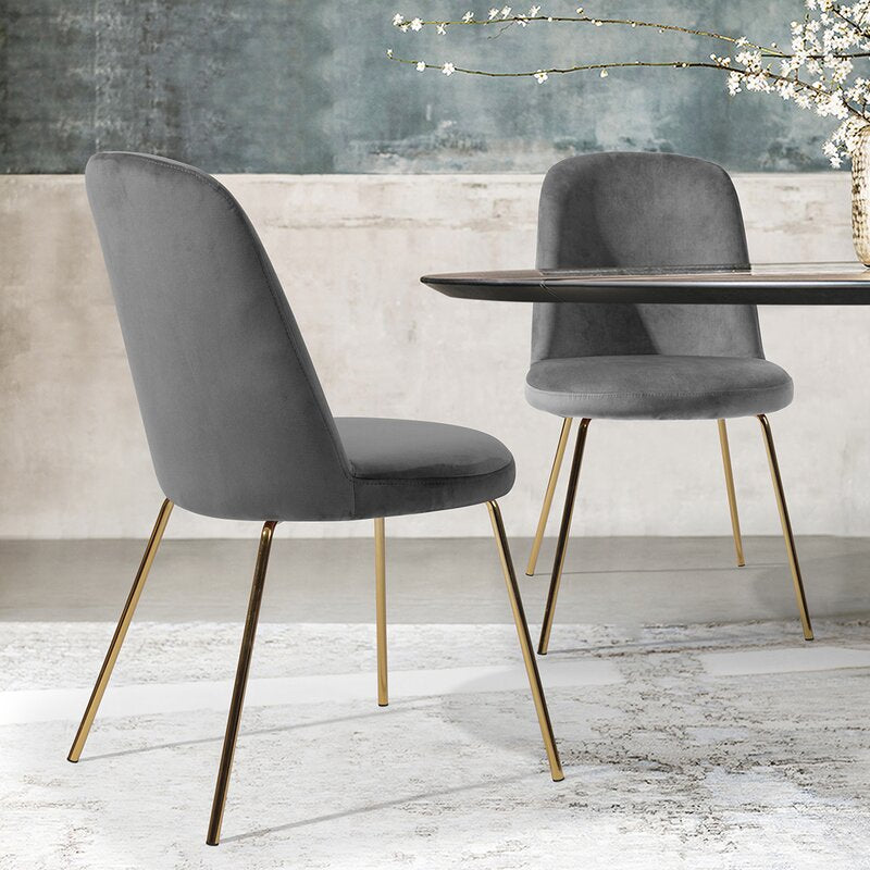 Grey Burleigh Velvet Side Chair (Set of 2) 2949AH