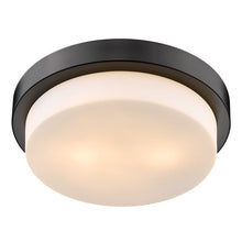Load image into Gallery viewer, Black Buttonwillow 2 - Light 13&quot; Simple Drum Flush Mount (SB894)
