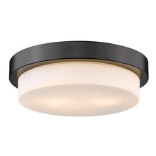 Load image into Gallery viewer, Black Buttonwillow 2 - Light 13&quot; Simple Drum Flush Mount (SB894)
