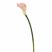 Load image into Gallery viewer, Calla Lilies Stem (Set of 6)
