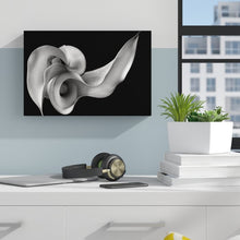 Load image into Gallery viewer, 16&quot; H x 24&quot; W x 2&quot; D Calla Lily Print on Canvas

