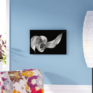 16" H x 24" W x 2" D Calla Lily Print on Canvas