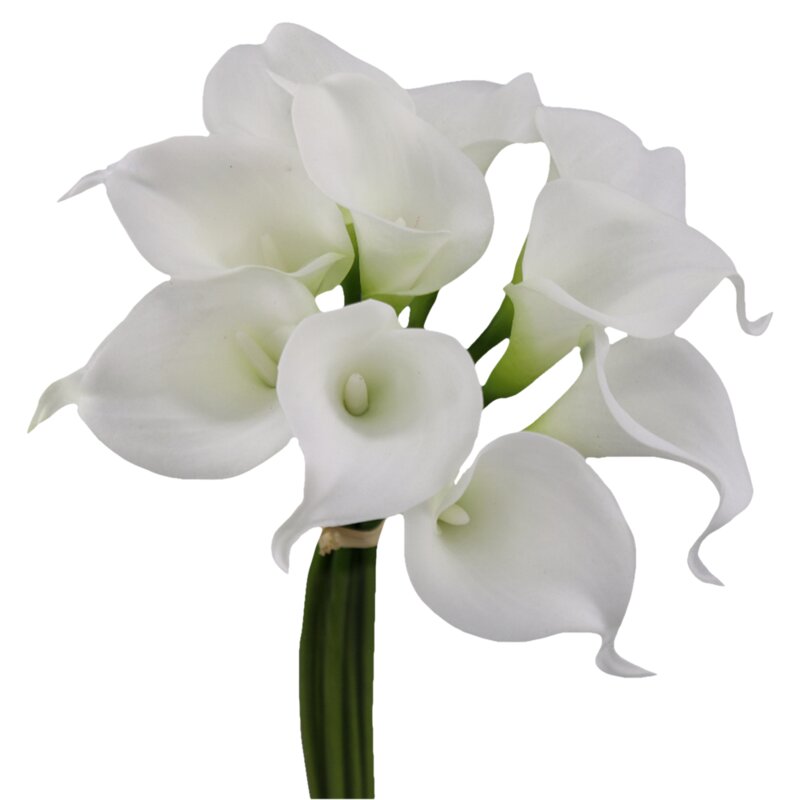 Calla Lily Stem (Set of 8)