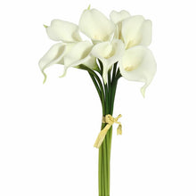 Load image into Gallery viewer, Calla Lily Stem Bundle (DC87)
