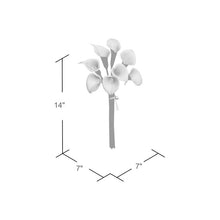 Load image into Gallery viewer, Calla Lily Stem Bundle (DC87)

