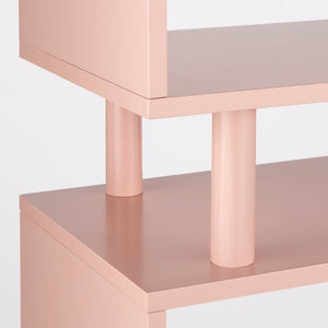 Blush Pink Camylle 59.5'' H x 34.6'' W Standard Bookcase