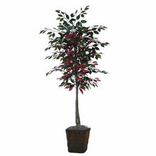 Load image into Gallery viewer, Capensia Foliage Tree in Basket 4218RR
