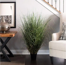 Load image into Gallery viewer, 36 in. Green Curled Everyday Grass in Pot

