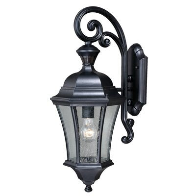 Carnanreagh Dualux 1-Light Outdoor Wall Lantern with Motion Sensor - 717CE
