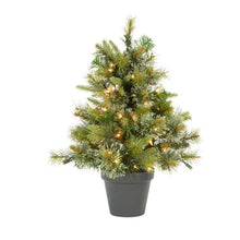 Load image into Gallery viewer, Cashmere Pine 24&#39;&#39; Lighted Artificial Pine Christmas Tree
