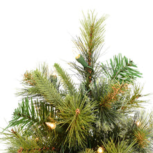 Load image into Gallery viewer, Cashmere Pine 24&#39;&#39; Lighted Artificial Pine Christmas Tree
