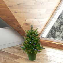Load image into Gallery viewer, Cashmere Pine 24&#39;&#39; Lighted Artificial Pine Christmas Tree
