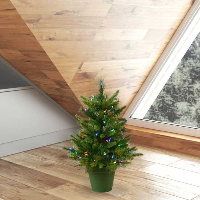 Cashmere Pine 24'' Lighted Artificial Pine Christmas Tree