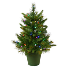Load image into Gallery viewer, Cashmere Pine 24&#39;&#39; Lighted Artificial Pine Christmas Tree
