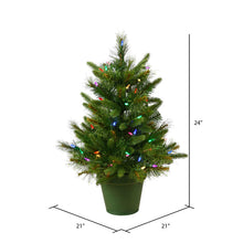 Load image into Gallery viewer, Cashmere Pine 24&#39;&#39; Lighted Artificial Pine Christmas Tree
