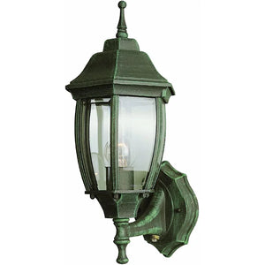 Chaniah Green 15.75'' H Plug-In Outdoor Wall Lantern with Dusk to Dawn