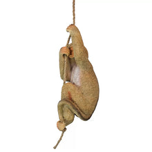 Load image into Gallery viewer, 16&#39;&#39; H x 7&#39;&#39; W x 6.5&#39;&#39; D Chico the Chimpanzee Hanging Baby Monkey Statue
