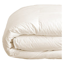 Load image into Gallery viewer, Queen Ivory Chisolm All Season Microfiber Down Alternative Comforter
