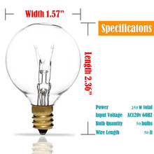 Load image into Gallery viewer, Clio 600&#39;&#39; 50 - Bulb String Light
