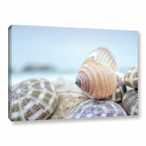 Coastal Close Up Crescent Beach Shells 15 - Photograph CG222