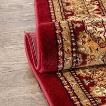 Load image into Gallery viewer, Colindale Oriental Area Rug in Red 5&quot;3 x 7&#39;3&quot;
