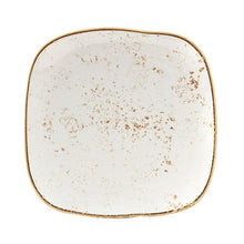 Load image into Gallery viewer, Connellsville Reactive Glaze 9.5&quot; Dessert Plate (Set of 4) 191ms

