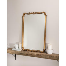 Load image into Gallery viewer, Toulouse Decorative Mirrors by Cooper Classics CG29
