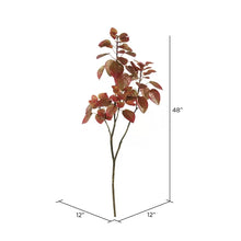 Load image into Gallery viewer, Cotinus Coggygria Folia Branch
